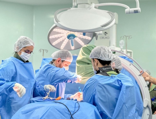 Hospital de Cirurgia oferece gratuitamente consultas, cirurgias e fisioterapia para tratamento da escoliose
