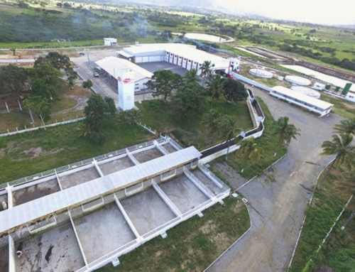 Produção de carne bovina em Sergipe é a que mais cresce no Nordeste